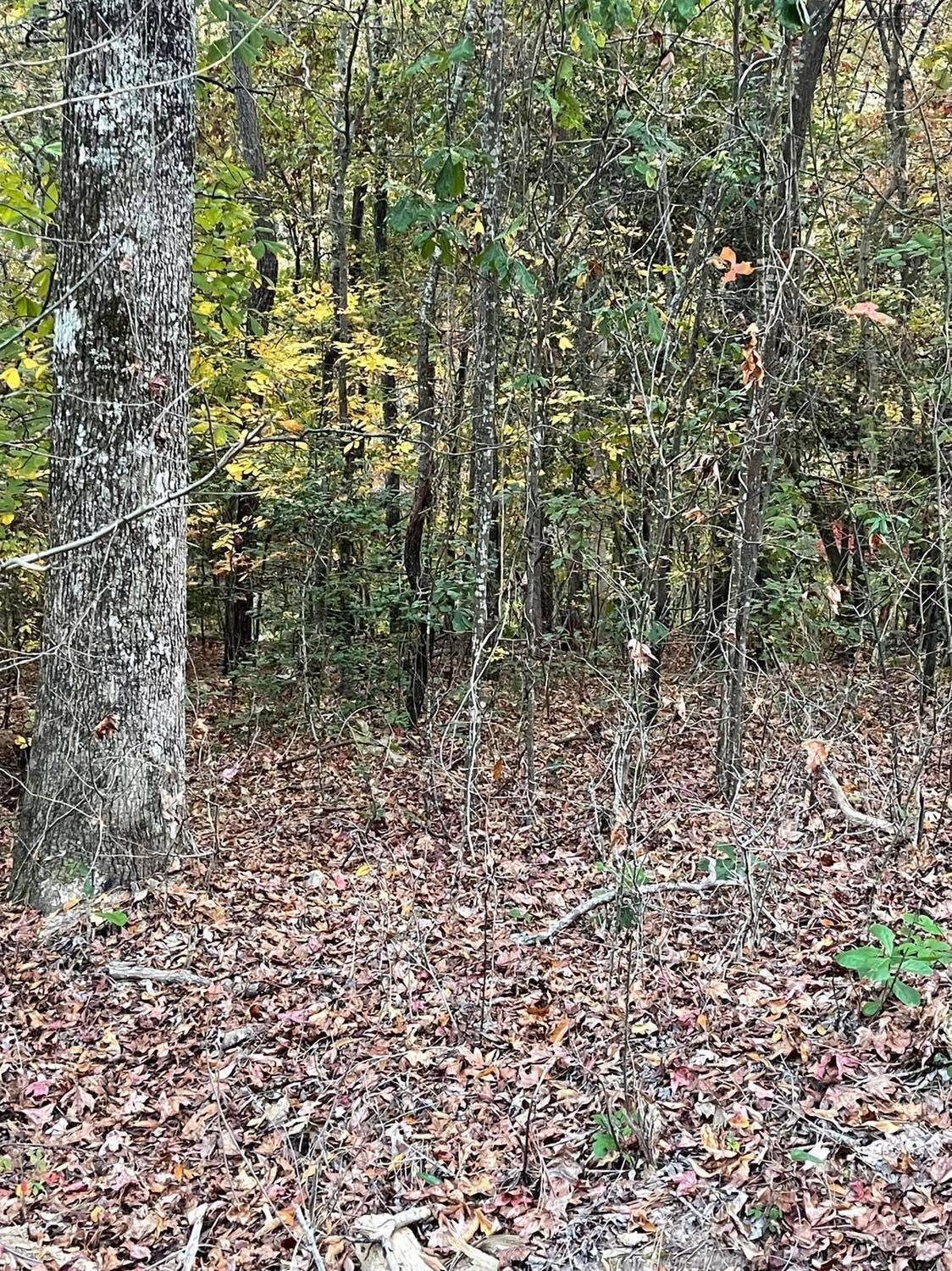 0 Land-O-Lakes-02D - Photo 1