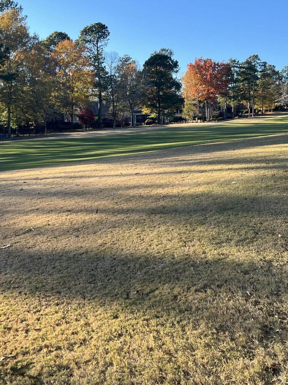 184 Foxhound Run Road - Photo 1