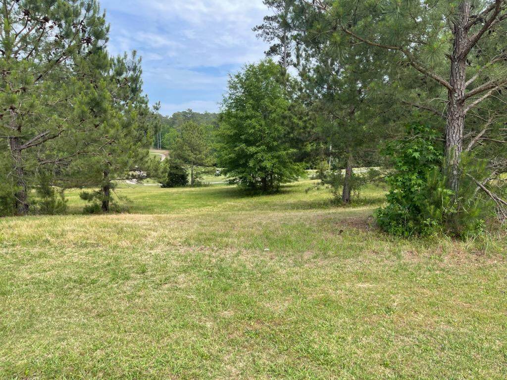 N51 Eutaw Springs Trail, NORTH AUGUSTA, SC 29860 (MLS 206323