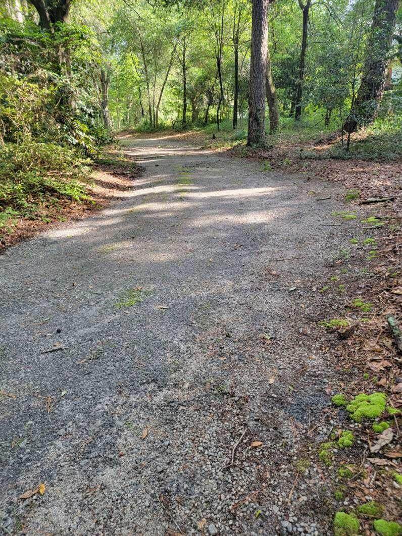 261 Aiken Road, WAGENER, SC 29164 (MLS 207815) Shannon Rollings