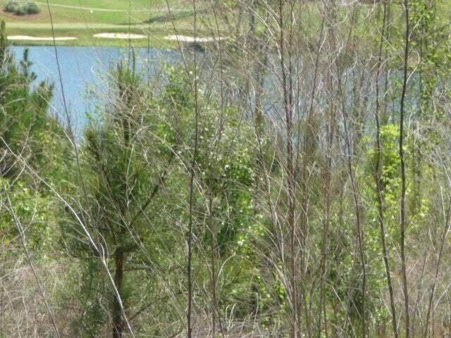 105 Sea Grass Lane - Photo 1