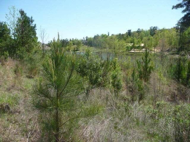 https://bt-photos.global.ssl.fastly.net/aiken2/1280_boomver_1_217569-2.jpg