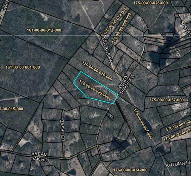 380 Windy Ridge Rd Road - Photo 1