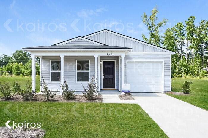 1021 Aunt Prissey Court - Photo 1