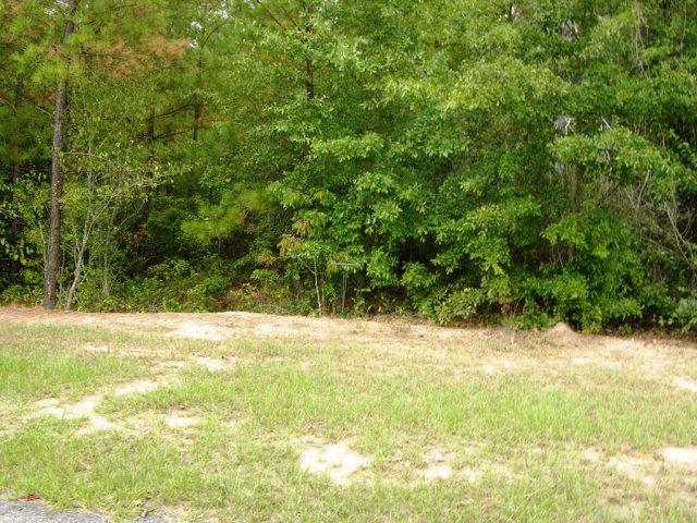 LOT 25 Eve Street - Photo 1