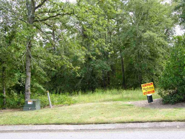 LOT 2 Eve Street - Photo 1