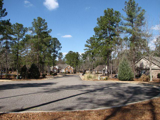 227 Carrington Place - Photo 1