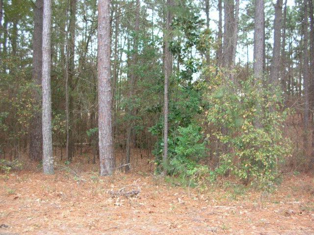 9-D Bellingham Drive - Photo 1
