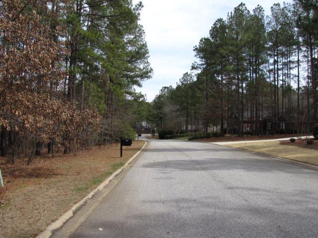 198 Long Shadow Drive - Photo 1