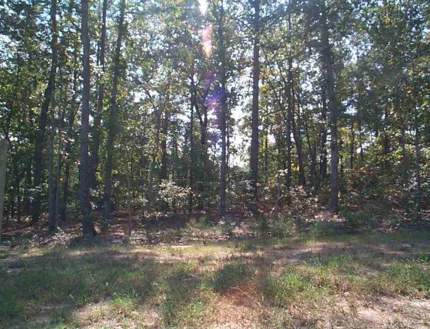 0 Confederate Road - Photo 1