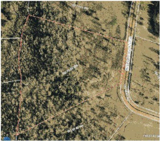 404 Mcintosh Loop - Photo 1