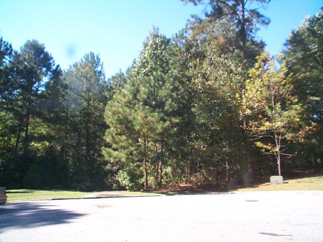 Lot 120A Burden Lake - Photo 1