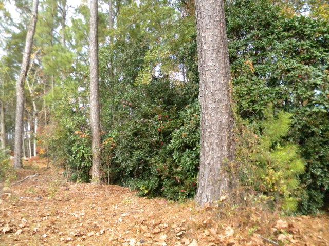 000 Kershaw Street - Photo 1