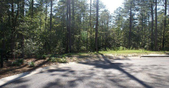 293 Whistling Straits Lane - Photo 1