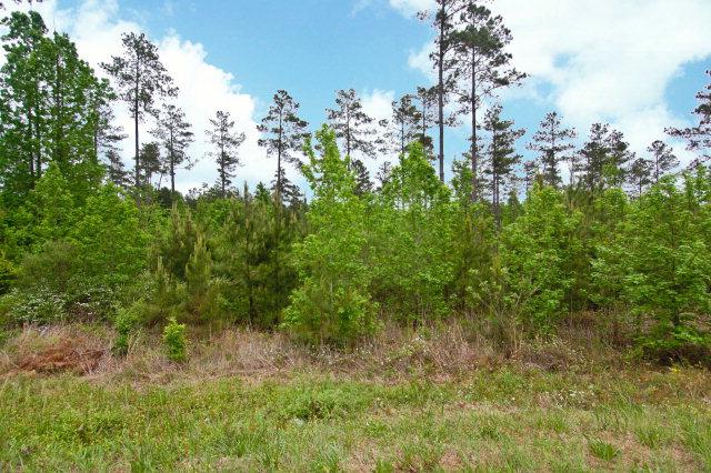 Lot 0 Sweetwater Road - Photo 1
