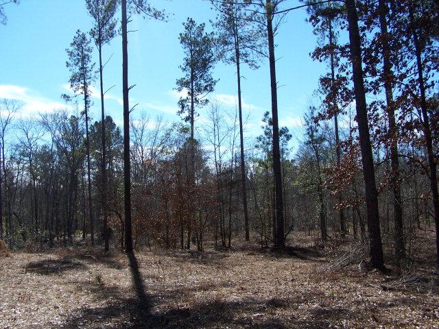 0 Banks Mill Rd - Photo 1