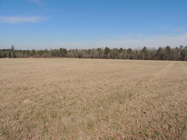 00 Perron Garvin Road - Photo 1