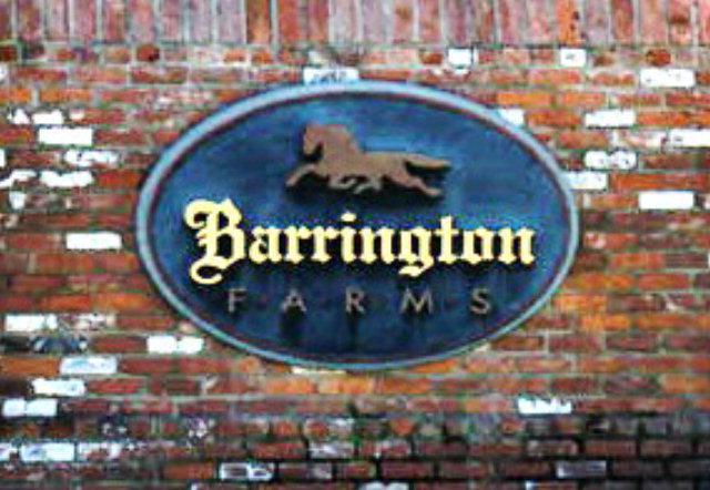 Lot 12-1 Barrington Farms Drive - Photo 1