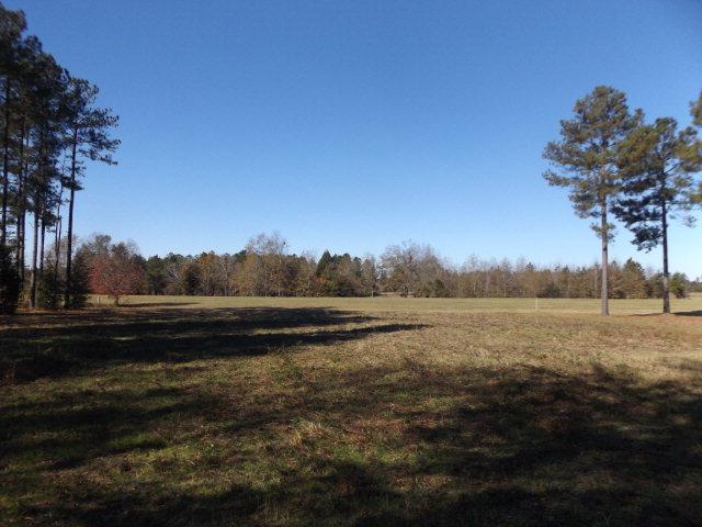 Lot #5 Burkelo Road - Photo 1