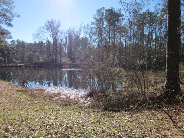 LOT 27 Spring Stone Ct - Photo 1