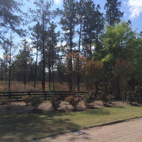 00 Cooks Bridge Road - Photo 1