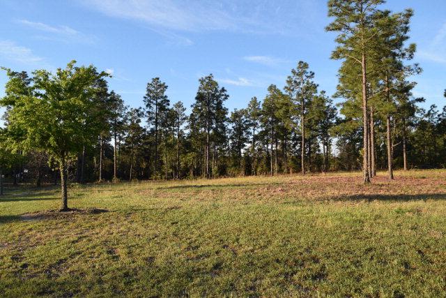Lot 5 Woods End Way - Photo 1