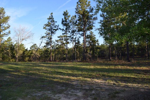 Lot 3 Woods End Way - Photo 1