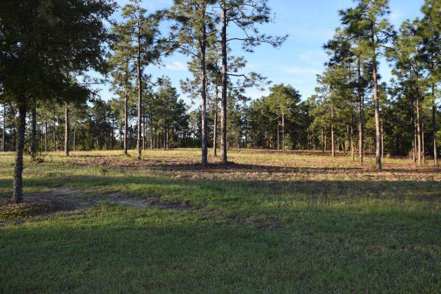 Lot 2 Woods End Way - Photo 1