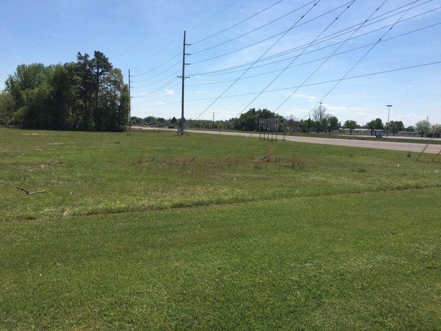 Lot D Charleston Hwy (Hwy 78) - Photo 1