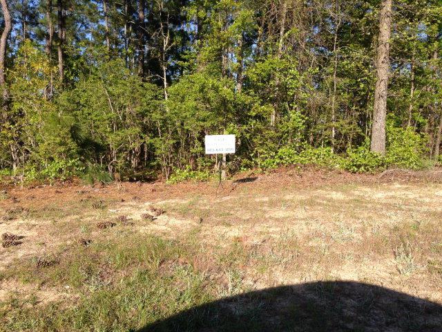 160 Golden Oak Drive - Photo 1