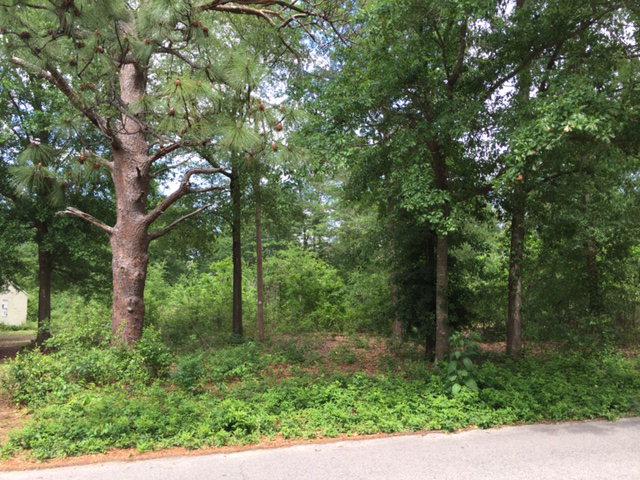 0 Edgewood Drive - Photo 1