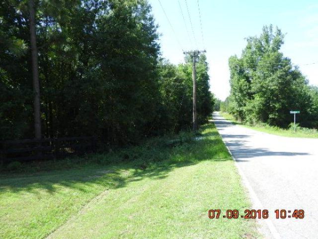807 Chime Bell Church Road - Photo 1