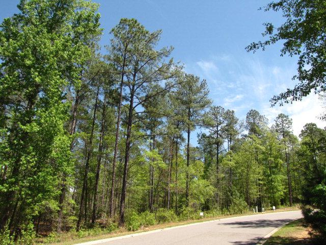3082 Stonehaven Drive - Photo 1