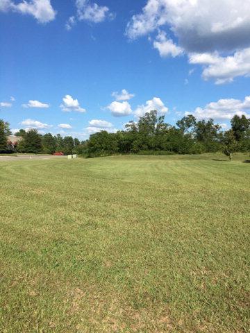 157 Dominion - Photo 1