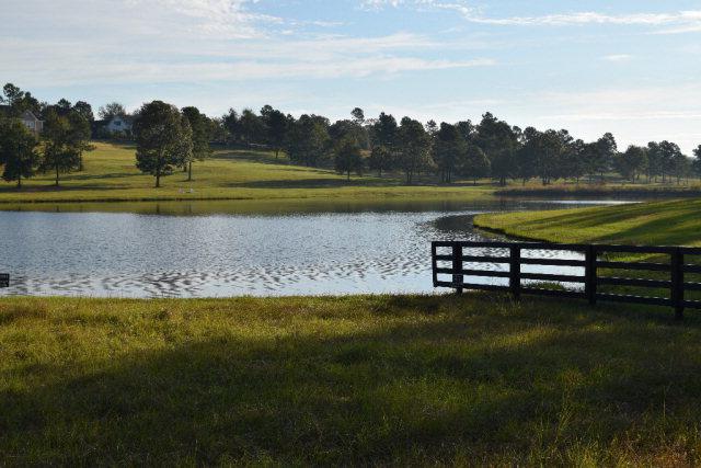Lot 42 Blue Roan Court - Photo 1