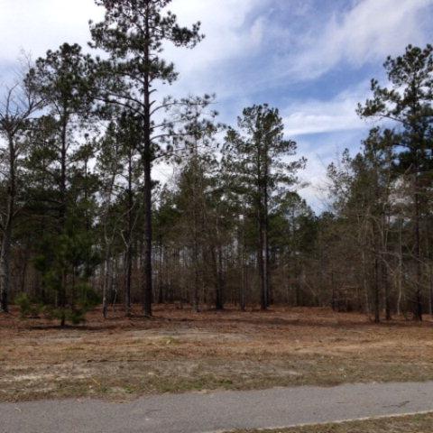 963 Anderson Mill Road - Photo 1