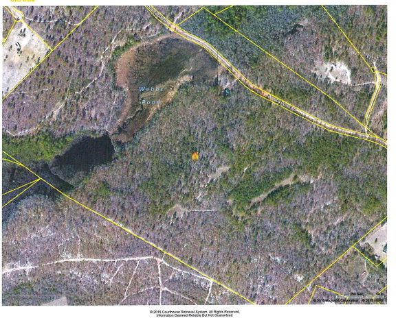 77 acres Webbs Pond - Photo 1