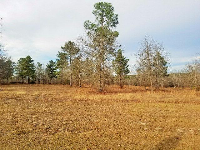 Lot 6 Chestnut Brown - Photo 1