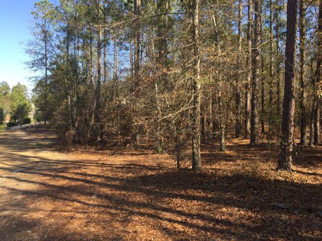 164 East Pleasant Colony - Photo 1