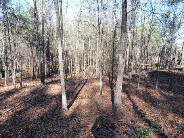 2059 Cardigan Drive - Photo 1