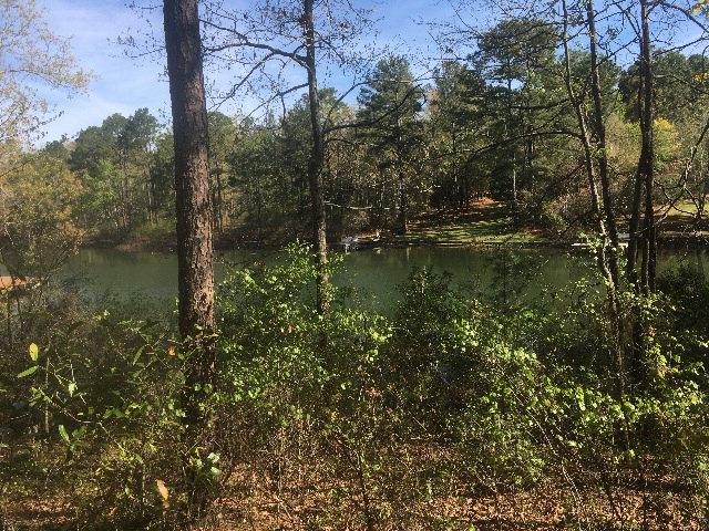 135 Edisto Lake Road - Photo 1