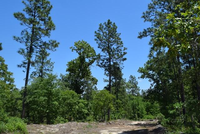 32 ac Eagle Road - Photo 1