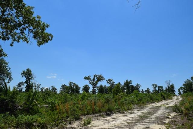 11.41 Ac Eagle Road - Photo 1