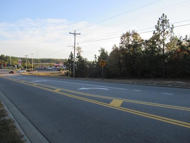 679 Bettis Academy Rd - Photo 1
