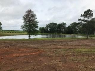 Hwy 23 Calhoun St - Photo 1