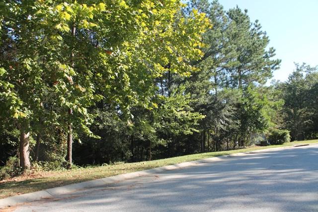 168 Chardonnay Ln. - Photo 1