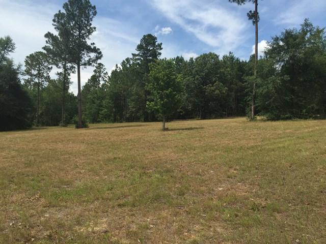 59 Equestrian Court - Photo 1
