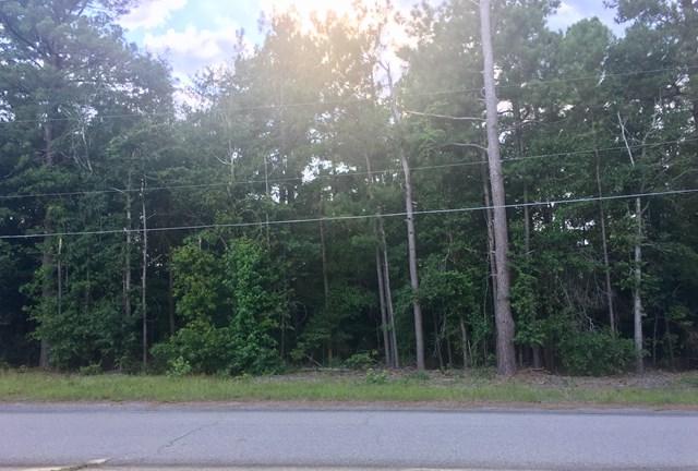 Lot 42 Green Drive - Photo 1
