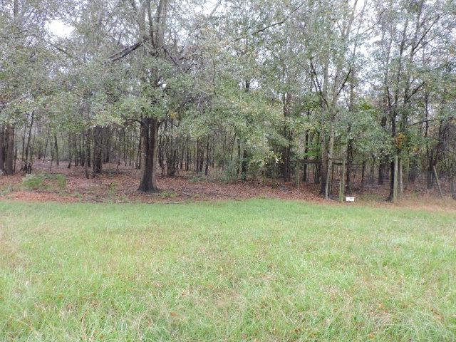 lot 14 Mallard Drive - Photo 1