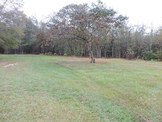 Lot 13 Mallard Drive - Photo 1